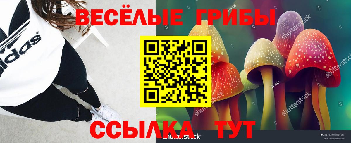Галлюциногенные грибы GOLDEN TEACHER Россия